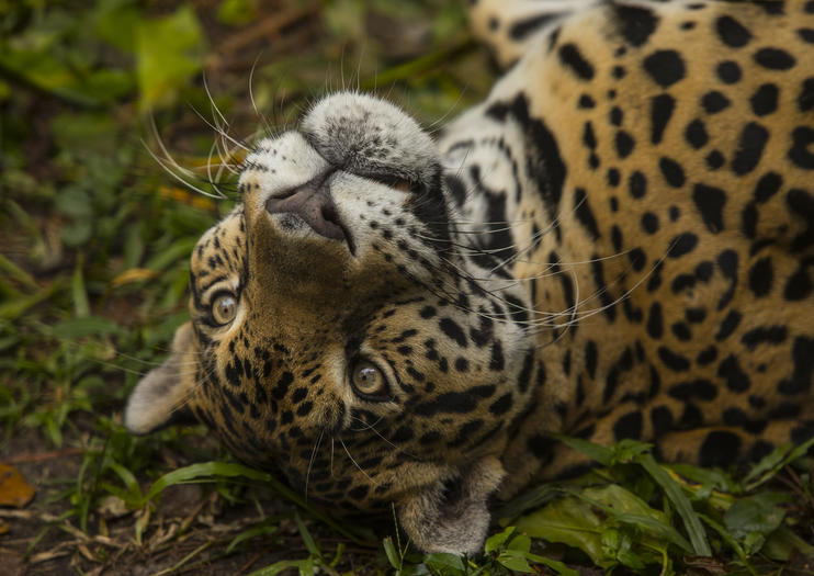 3 jours Belize